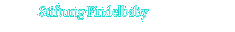 Stiftung Findelbaby