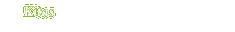 Kitas